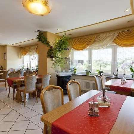 Отель Hotel-restaurant Birgeler Hof Birgel