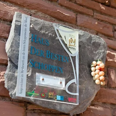 Hotel Hotel-restaurant Birgeler Hof Birgel