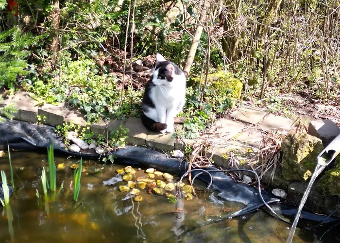 מלון Hotel-restaurant Birgeler Hof