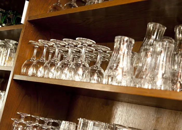 Hotel-restaurant Birgeler Hof Hotel Birgel